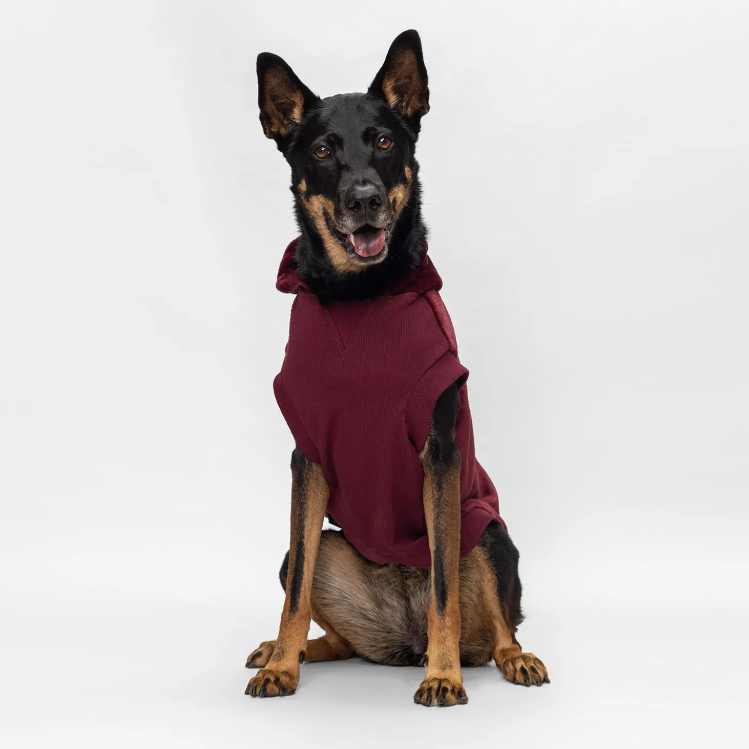 Burgundy Oodie™ Original Dog