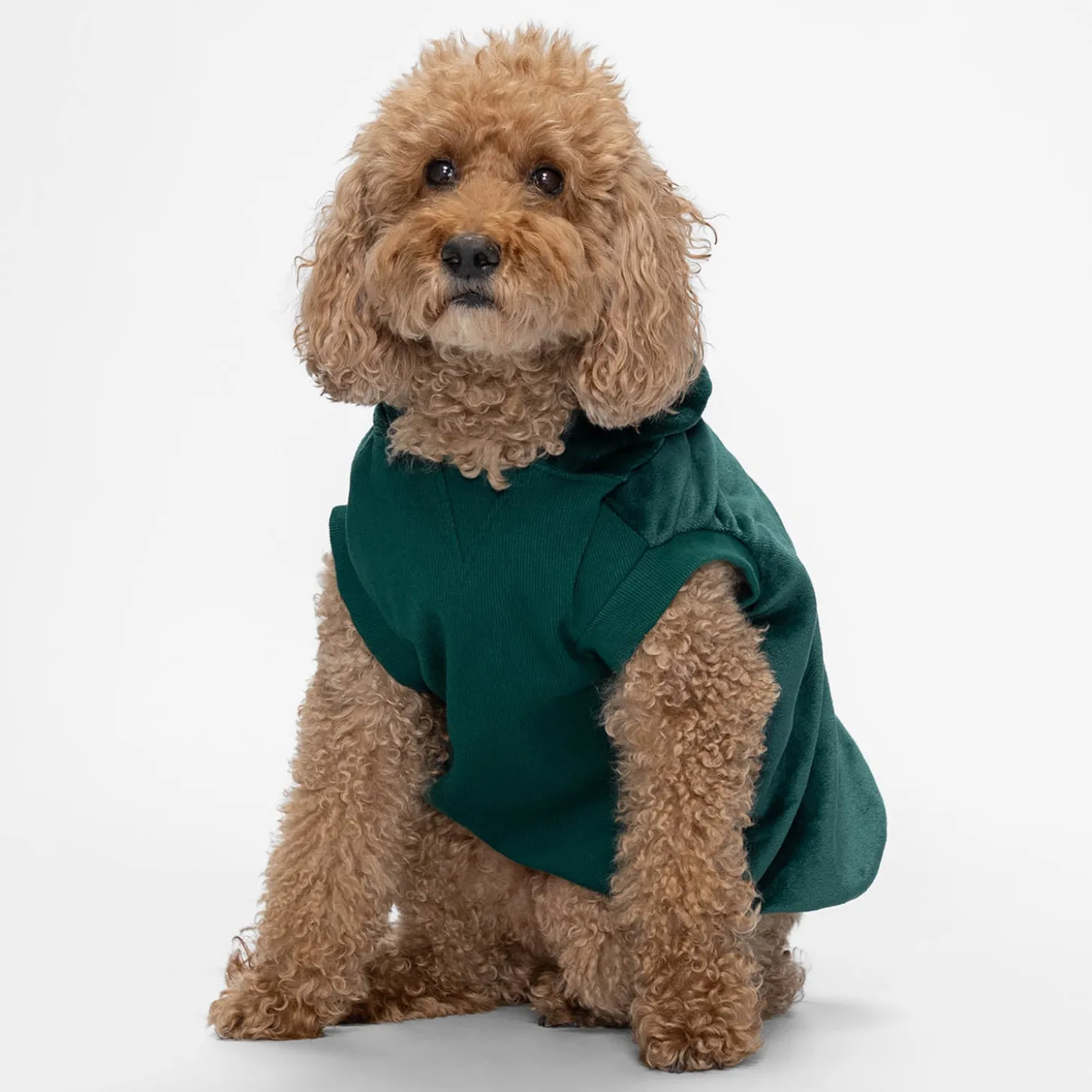 Moss Green Oodie™ Original Dog