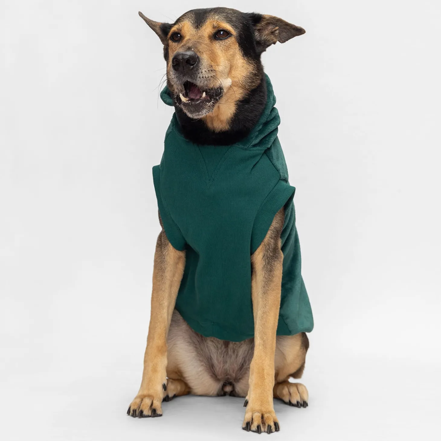 Moss Green Oodie™ Original Dog