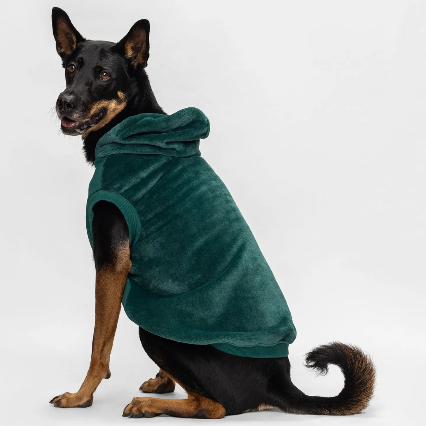 Moss Green Oodie™ Original Dog
