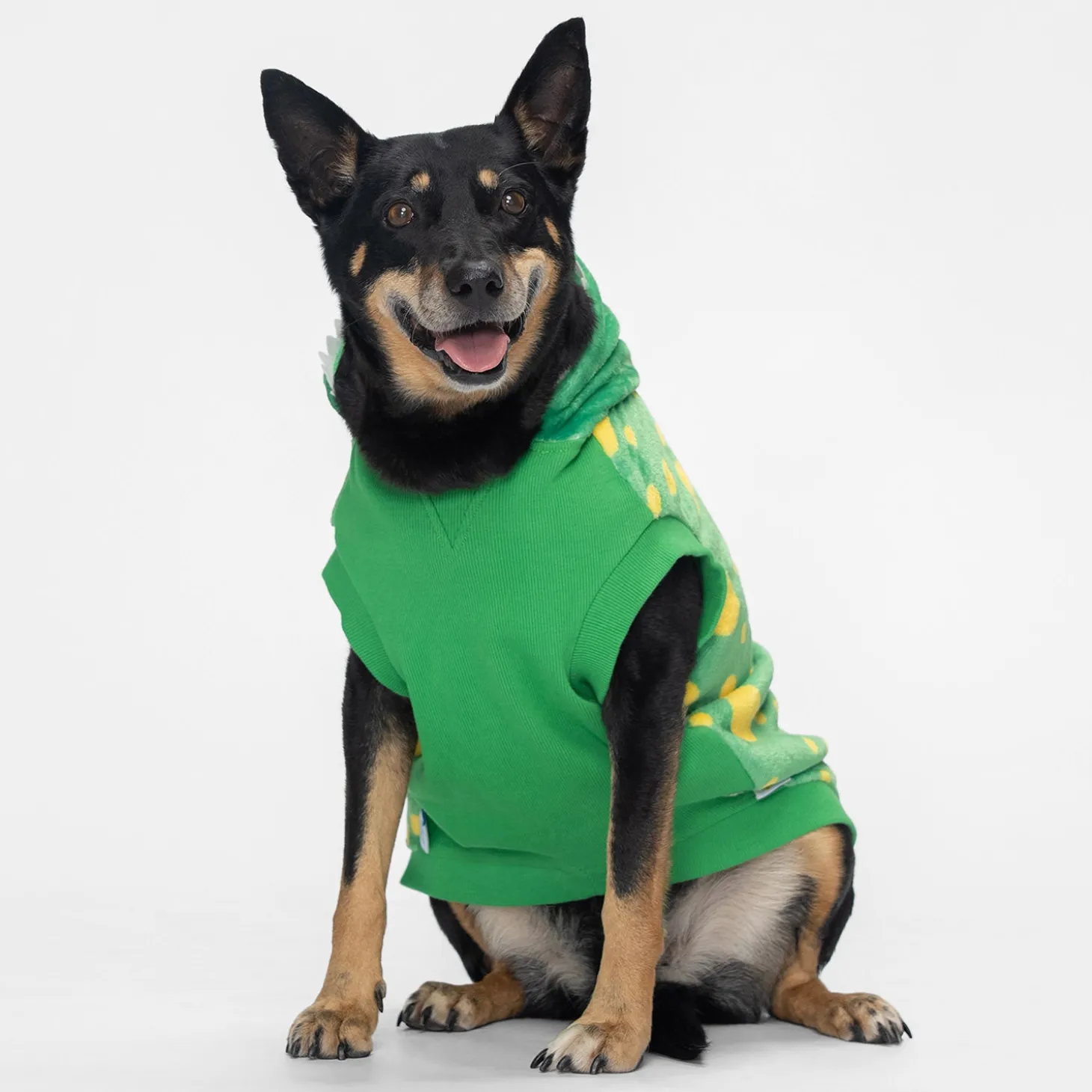 Wiggles Oodie™ Original Dog Licensed